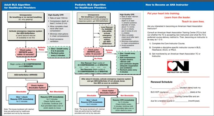 American red cross cpr test answers