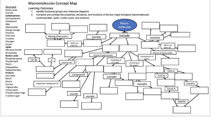 Macromolecules word search answer key