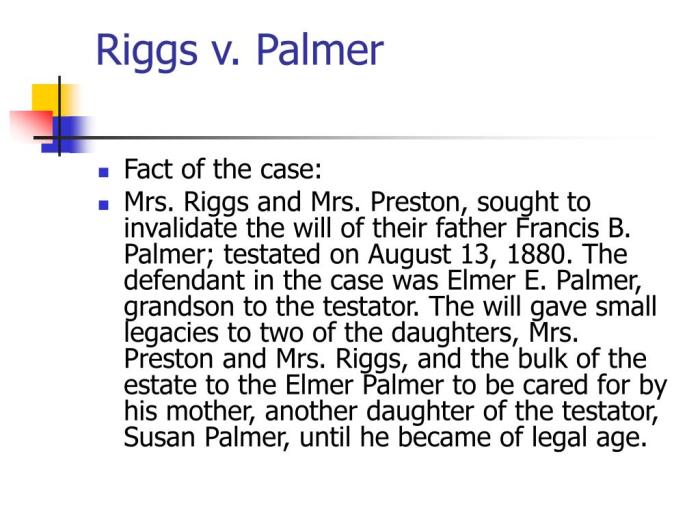 Riggs v palmer case brief