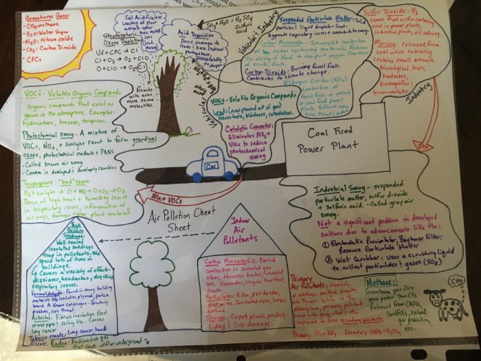 Unit 9 global change apes exam review