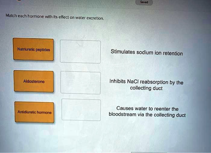 Match each hormone with its effect on water excretion.