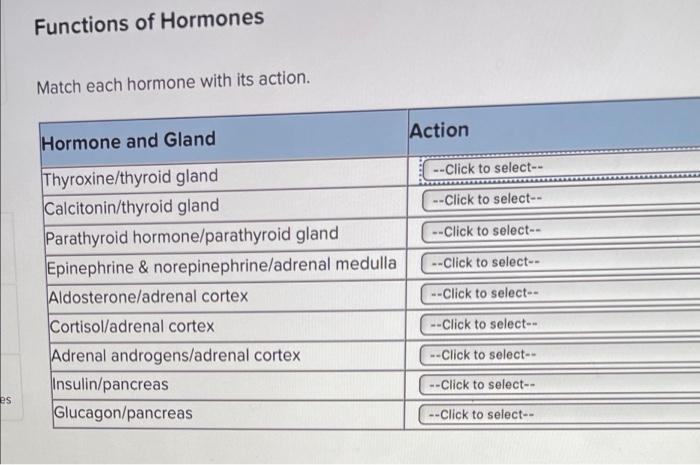 Match each hormone with its effect on water excretion.