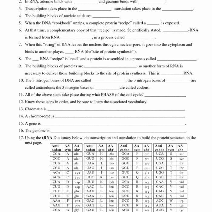 Protein synthesis blueprint worksheet answers