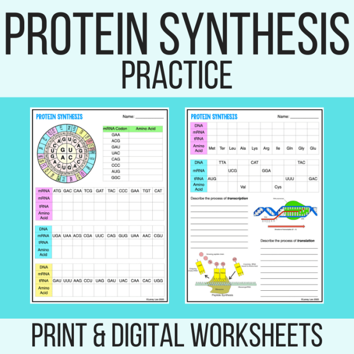 Protein synthesis blueprint worksheet answers