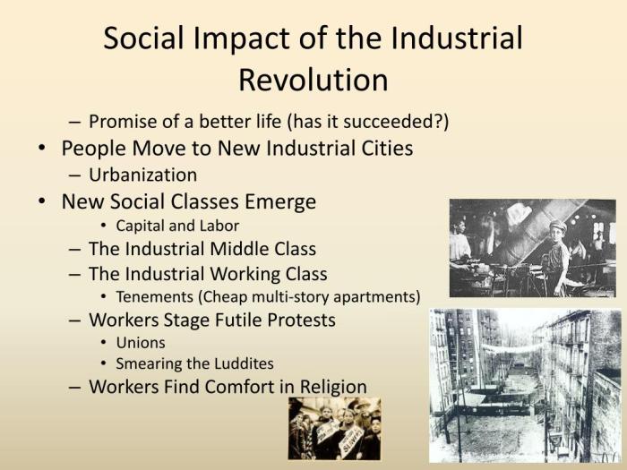 Economic continuities in the industrial revolution